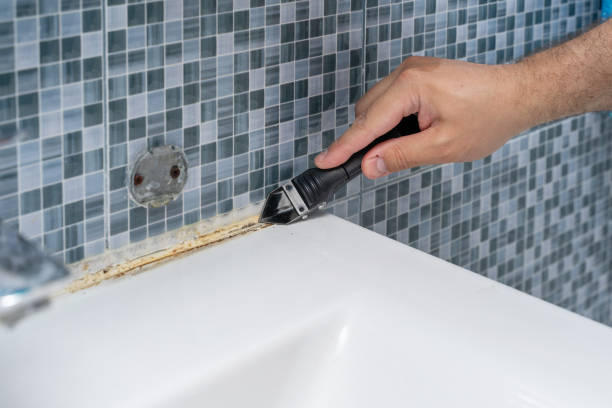 Best Office Mold Removal Services  in Santo Domingo Pueblo, NM
